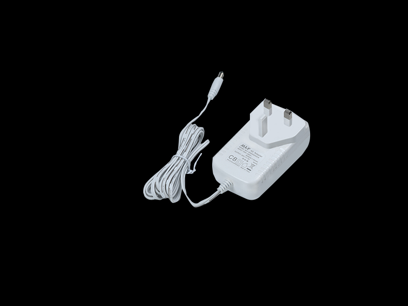 E02 48W power adapter